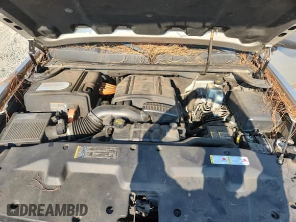 ✅ 2011 Chevrolet Silverado 1500 1HY • VIN: 3GCUCUEJ1BG145757 • Lot: 81233305. Listed on Copart with 260,896 mi. Free auction sales archive from the USA and detailed vehicle history report at DreamBid. Image 11.