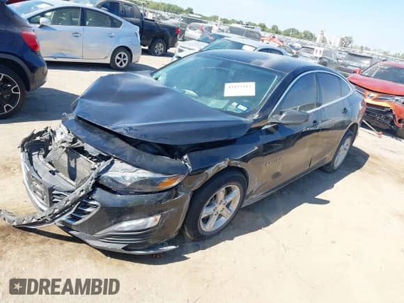 2019 Chevrolet Malibu LS with VIN 1G1ZB5ST7KF228267, listed as a IAAI auction lot 43425315 with 114,913 mi miles and . Bid and sale history available at DreamBid. Image 2.