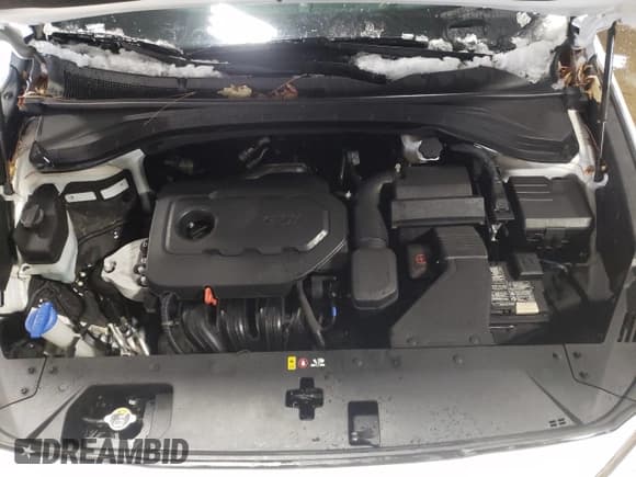✅ 2020 Hyundai Santa Fe SEL • VIN: 5NMS3CAD7LH236877 • Lot: 73124882. Listed on Copart with 30,164 mi. Free auction sales archive from the USA and detailed vehicle history report at DreamBid. Image 12.