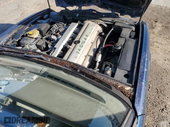 ✅ 1996 Jaguar XJ Vanden Plas • VIN: SAJKX6240TC780318 • Лот: 64213625. Опубликован ранее на Copart с пробегом 163 020 миль. Бесплатный доступ к архиву аукционных продаж из США и подробный отчёт об истории автомобиля на DreamBid. Изображение 11.