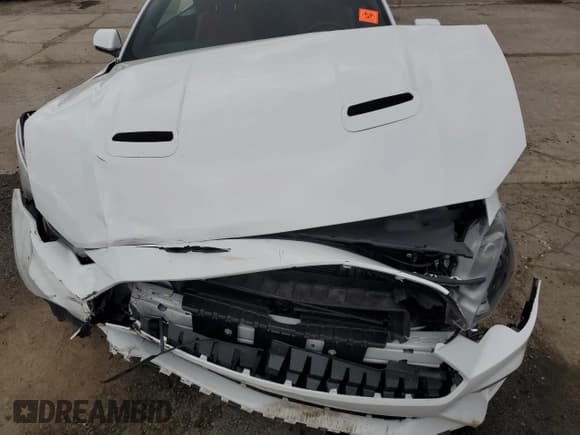 ✅ 2019 Ford Mustang EcoBoost • VIN: 1FATP8UH1K5201330 • Lot: 69406455. Listed on Copart with Not provided. Free auction sales archive from the USA and detailed vehicle history report at DreamBid. Image 11.