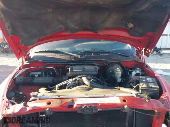 ✅ 2001 Dodge 1500 • VIN: 1B7HC13Y91J535812 • Лот: 43448229. Опубликован ранее на IAAI с пробегом 259 094 миль. Бесплатный доступ к архиву аукционных продаж из США и подробный отчёт об истории автомобиля на DreamBid. Изображение 10.