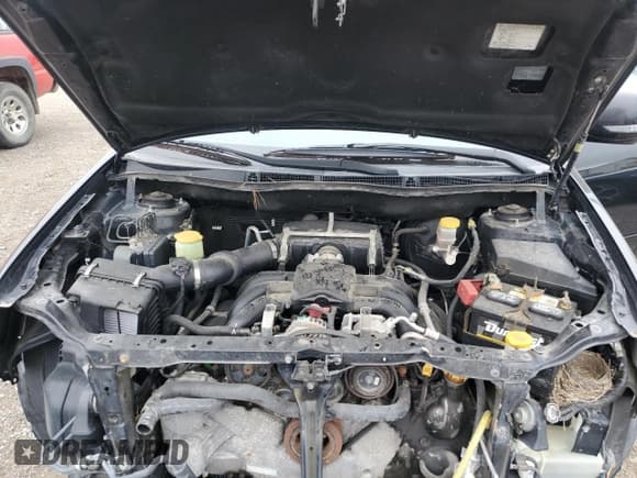 ✅ 2010 Subaru Tribeca Limited • VIN: 4S4WX9GDXA4401127 • Лот: 65036615. Опубликован ранее на Copart с пробегом 172 373 миль. Бесплатный доступ к архиву аукционных продаж из США и подробный отчёт об истории автомобиля на DreamBid. Изображение 12.