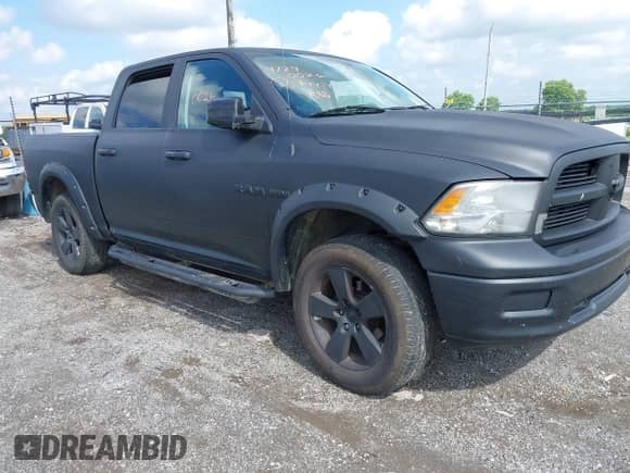 2010 Dodge 1500 Sport with VIN 1D7RV1CT0AS108974, listed as a IAAI auction lot 42290026 with 185,336 mi miles and . Bid and sale history available at DreamBid. Image 1.