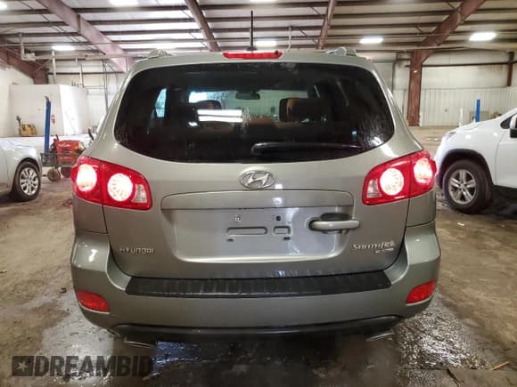 ✅ 2009 Hyundai Santa Fe GL • VIN: 5NMSG13E59H236156 • Lot: 50739185. Listed on Copart with 120,078 mi. Free auction sales archive from the USA and detailed vehicle history report at DreamBid. Image 6.