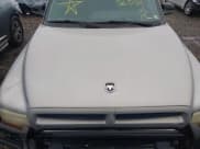 ✅ 1999 Dodge Durango • VIN: 1B4HS28Y5XF685510 • Lot: 43309271. Wystawiony na IAAI z przebiegiem Nie podano. Bezpłatny archiwum sprzedaży aukcyjnych z USA i szczegółowy raport historii pojazdu na DreamBid. Zdjęcie 10.