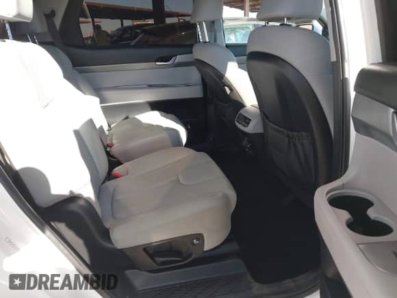 2022 Hyundai Palisade SEL с VIN KM8R44HE7NU452607, выставлен на аукционе IAAI как лот 41506817 с пробегом 25 827 миль миль и . История ставок и продаж доступна на DreamBid. Изображение 8.