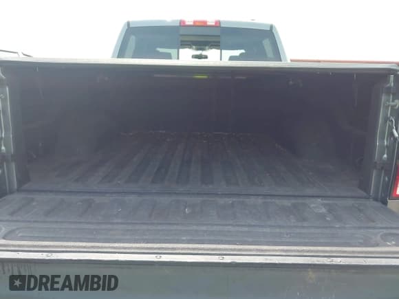 ✅ 2010 Dodge 1500 Sport • VIN: 1D7RV1CT1AS131700 • Lot: 42396267. Wystawiony na IAAI z przebiegiem 207 969 mil. Bezpłatny archiwum sprzedaży aukcyjnych z USA i szczegółowy raport historii pojazdu na DreamBid. Zdjęcie 18.