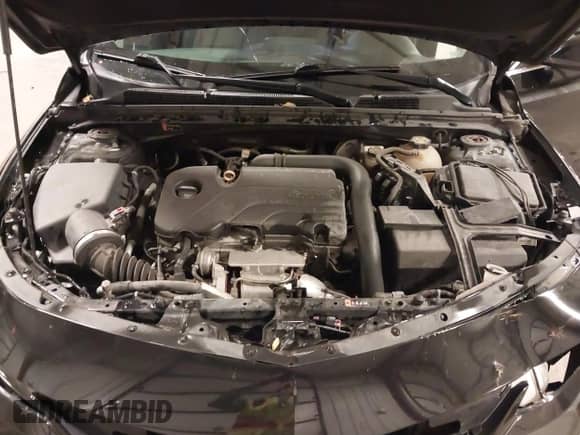 2018 Chevrolet Malibu LT z VIN 1G1ZD5ST4JF263938, wystawiony jako IAAI lot #43378625 z przebiegiem 90 540 mil mil oraz . Historia ofert i sprzedaży dostępna na DreamBid. Obrazek 10.