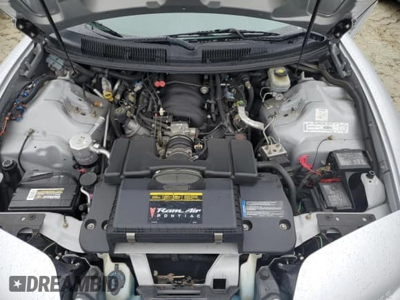 ✅ 2002 Pontiac Firebird Trans Am • VIN: 2G2FV32GX22126136 • Lot: 74893254. Listed on Copart with 7,725 mi. Free auction sales archive from the USA and detailed vehicle history report at DreamBid. Image 11.