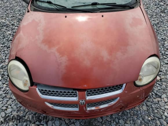 2005 Dodge Neon SXT z VIN 1B3ES56C05D107713, wystawiony jako Copart lot #59568885 z przebiegiem 79 441 mil mil oraz Szkoda całkowita • Salvage title. Historia ofert i sprzedaży dostępna na DreamBid. Obrazek 11.