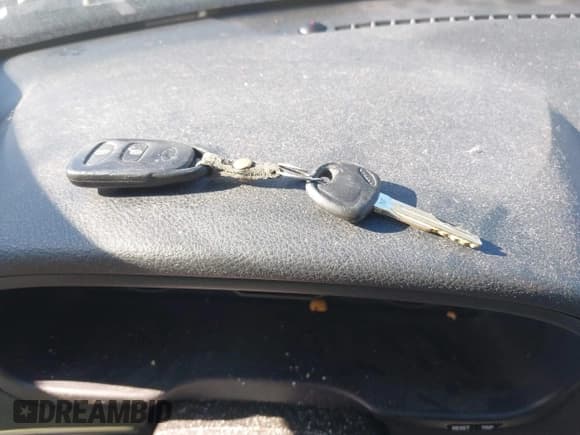 ✅ 2009 Hyundai Santa Fe SE • VIN: 5NMSH13E39H286132 • Lot: 42306022. Listed on IAAI with 133,255 mi. Free auction sales archive from the USA and detailed vehicle history report at DreamBid. Image 11.