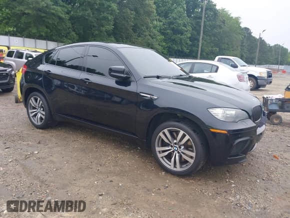 ✅ 2010 BMW X6 M • VIN: 5YMGZ0C52ALK13163 • Lot: 42364805. Listed on IAAI with 116,711 mi. Free auction sales archive from the USA and detailed vehicle history report at DreamBid. Image 1.