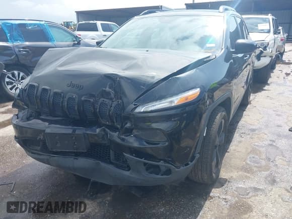 ✅ 2016 Jeep Cherokee Limited • VIN: 1C4PJMDS1GW308543 • Lot: 42494925. Wystawiony na IAAI z przebiegiem 122 841 mil. Bezpłatny archiwum sprzedaży aukcyjnych z USA i szczegółowy raport historii pojazdu na DreamBid. Zdjęcie 17.