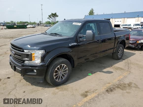 ✅ 2019 Ford F-150 XL • VIN: 1FTEW1E58KKC33078 • Lot: 59506675. Wystawiony na Copart z przebiegiem 131 344 mil. Bezpłatny archiwum sprzedaży aukcyjnych z USA i szczegółowy raport historii pojazdu na DreamBid. Zdjęcie 1.