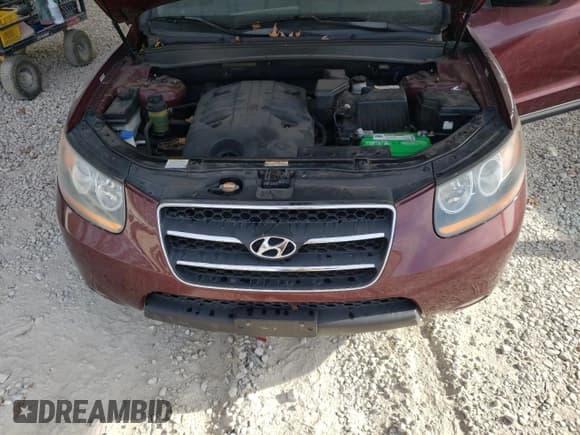 ✅ 2008 Hyundai Santa Fe SE • VIN: 5NMSH13E38H193352 • Lot: 82376634. Listed on Copart with 119,073 mi. Free auction sales archive from the USA and detailed vehicle history report at DreamBid. Image 12.