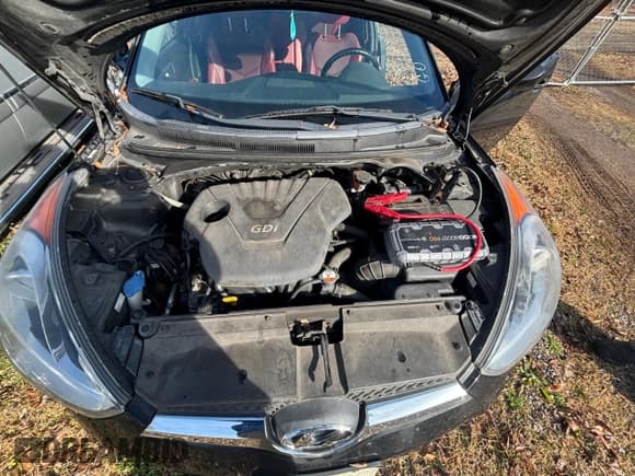 ✅ 2013 Hyundai Veloster w/Black Int • VIN: KMHTC6AD1DU132719 • Lot: 43299225. Listed on Copart with 154,128 mi. Free auction sales archive from the USA and detailed vehicle history report at DreamBid. Image 7.