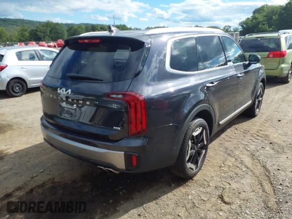 ✅ 2025 Kia Telluride S • VIN: 5XYP6DGC3SG608807 • Lot: 43075046. Listed on IAAI with 12,097 mi. Free auction sales archive from the USA and detailed vehicle history report at DreamBid. Image 4.