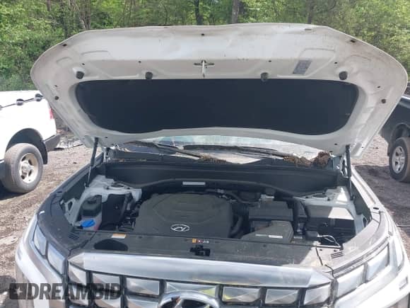 2025 Hyundai Palisade Calligraphy z VIN KM8R74GE8SU828199, wystawiony jako IAAI lot #41939641 z przebiegiem 16 939 mil mil oraz . Historia ofert i sprzedaży dostępna na DreamBid. Obrazek 10.