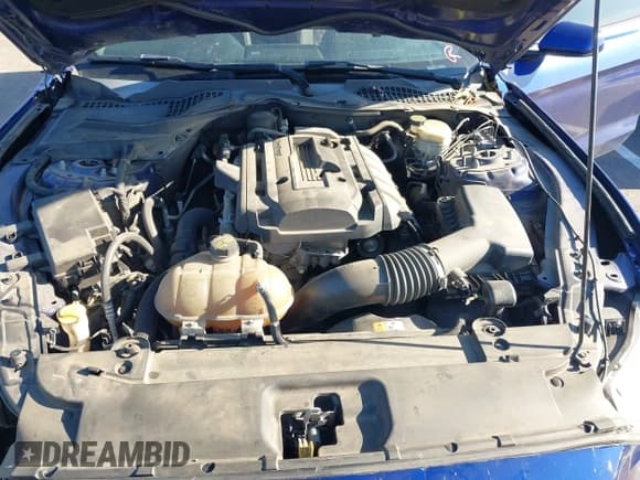 ✅ 2015 Ford Mustang EcoBoost • VIN: 1FA6P8THXF5402518 • Lot: 43643203. Wystawiony na IAAI z przebiegiem 178 114 mil. Bezpłatny archiwum sprzedaży aukcyjnych z USA i szczegółowy raport historii pojazdu na DreamBid. Zdjęcie 10.