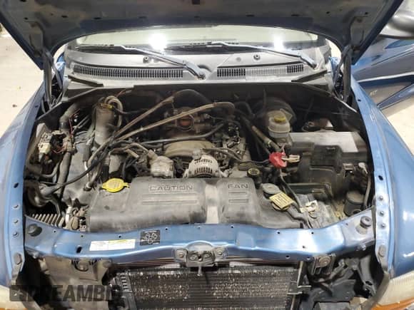 2002 Dodge Dakota SLT with VIN 1B7GG42N62S652834, listed as a Copart auction lot 48002395 with 155,823 mi miles and Clean title. Bid and sale history available at DreamBid. Image 11.