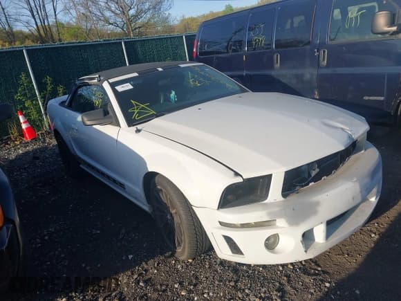 ✅ 2006 Ford Mustang Standard • VIN: 1ZVFT84N265189815 • Lot: 42171184. Listed on IAAI with Not provided. Free auction sales archive from the USA and detailed vehicle history report at DreamBid. Image 1.