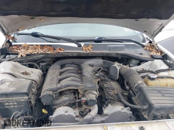 2008 Dodge Magnum SXT z VIN 2D4FV37V78H192963, wystawiony jako IAAI lot #41420016 z przebiegiem 191 238 mil mil oraz . Historia ofert i sprzedaży dostępna na DreamBid. Obrazek 10.