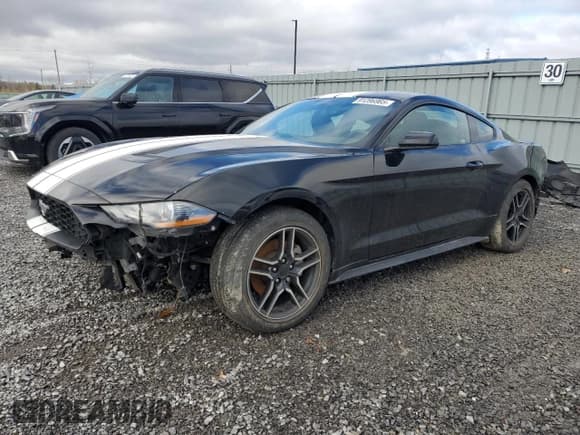 ✅ 2019 Ford Mustang EcoBoost • VIN: 1FA6P8TH4K5172906 • Lot: 91286965. Wystawiony na Copart z przebiegiem 123 060 mil. Bezpłatny archiwum sprzedaży aukcyjnych z USA i szczegółowy raport historii pojazdu na DreamBid. Zdjęcie 1.