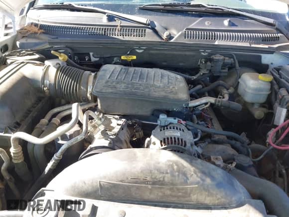 2005 Dodge Dakota Laramie with VIN 1D7HE58N35S138912, listed as a IAAI auction lot 41359470 with 263,136 mi miles and . Bid and sale history available at DreamBid. Image 10.