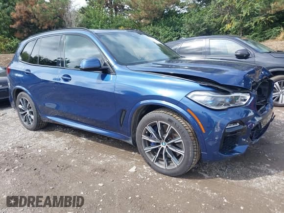 ✅ 2019 BMW X5 xDrive50i • VIN: 5UXJU2C54KLN49907 • Лот: 43281101. Опубликован ранее на IAAI с пробегом 53 335 миль. Бесплатный доступ к архиву аукционных продаж из США и подробный отчёт об истории автомобиля на DreamBid. Изображение 1.