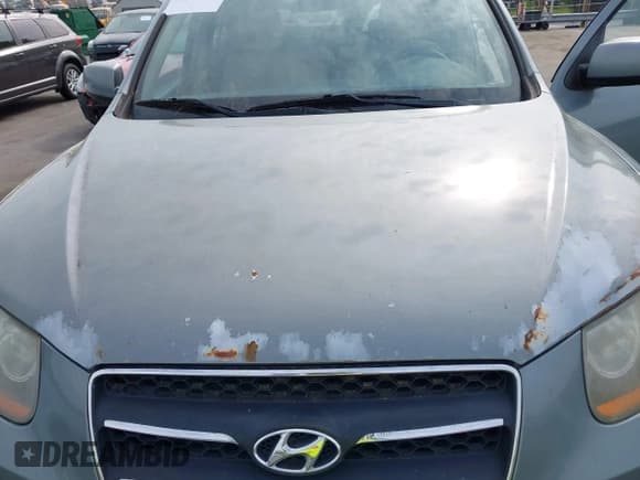 ✅ 2009 Hyundai Santa Fe SE • VIN: 5NMSH13E09H311908 • Lot: 42098472. Listed on IAAI with 262,187 mi. Free auction sales archive from the USA and detailed vehicle history report at DreamBid. Image 6.