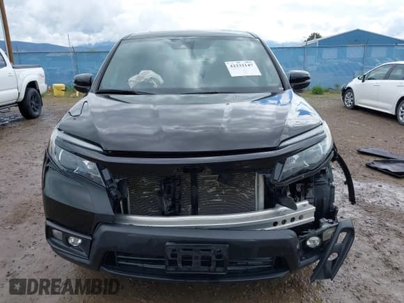 ✅ 2021 Honda Passport EX-L • VIN: 5FNYF8H51MB019230 • Lot: 42332147. Listed on IAAI with 36,733 mi. Free auction sales archive from the USA and detailed vehicle history report at DreamBid. Image 12.