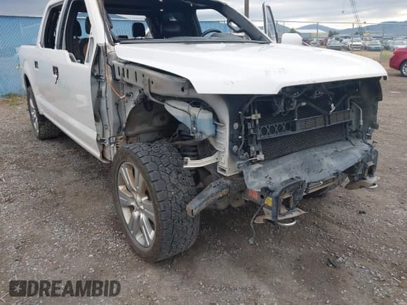 ✅ 2016 Ford F-150 Platinum • VIN: 1FTEW1EG4GFC87950 • Lot: 42547129. Wystawiony na IAAI z przebiegiem 168 026 mil. Bezpłatny archiwum sprzedaży aukcyjnych z USA i szczegółowy raport historii pojazdu na DreamBid. Zdjęcie 6.