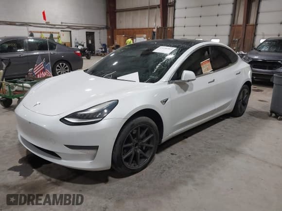 ✅ 2020 Tesla Model 3 Standard Range Plus • VIN: 5YJ3E1EA4LF703693 • Lot: 43496865. Wystawiony na IAAI z przebiegiem 112 618 mil. Bezpłatny archiwum sprzedaży aukcyjnych z USA i szczegółowy raport historii pojazdu na DreamBid. Zdjęcie 19.