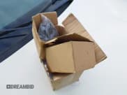 ✅ 2000 Chevrolet Silverado 1500 LS • VIN: 2GCEK19T9Y1212706 • Лот: 43792279. Опубликован ранее на IAAI с пробегом 280 310 миль. Бесплатный доступ к архиву аукционных продаж из США и подробный отчёт об истории автомобиля на DreamBid. Изображение 12.