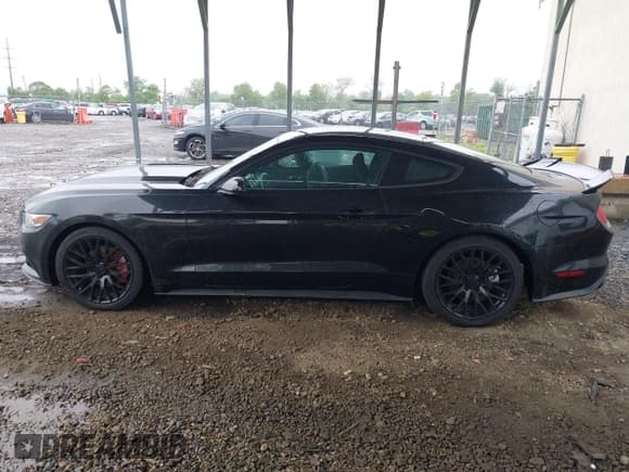 ✅ 2017 Ford Mustang EcoBoost Premium • VIN: 1FA6P8TH2H5212831 • Lot: 42311038. Listed on IAAI with 79,290 mi. Free auction sales archive from the USA and detailed vehicle history report at DreamBid. Image 14.