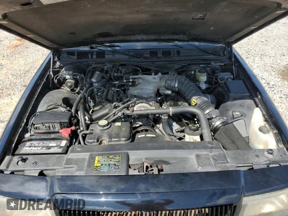 ✅ 2003 Mercury Marauder • VIN: 2MEHM75V73X634415 • Lot: 51654895. Wystawiony na Copart z przebiegiem 201 536 mil. Bezpłatny archiwum sprzedaży aukcyjnych z USA i szczegółowy raport historii pojazdu na DreamBid. Zdjęcie 11.