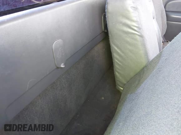 ✅ 2002 Chevrolet Silverado 1500 • VIN: 1GCEC14W22Z100150 • Lot: 43317354. Wystawiony na IAAI z przebiegiem 162 405 mil. Bezpłatny archiwum sprzedaży aukcyjnych z USA i szczegółowy raport historii pojazdu na DreamBid. Zdjęcie 8.