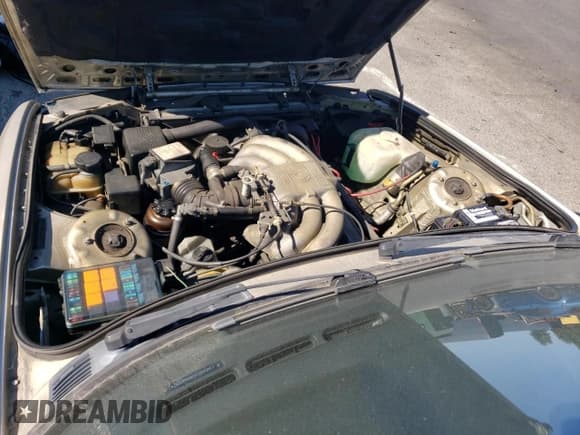 ✅ 1989 BMW 3 Series • VIN: WBABB2308K8864242 • Лот: 72472654. Опубликован ранее на Copart с пробегом 124 243 миль. Бесплатный доступ к архиву аукционных продаж из США и подробный отчёт об истории автомобиля на DreamBid. Изображение 11.