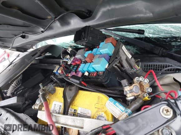 ✅ 2010 Toyota Tacoma • VIN: 5TEUU4EN5AZ734197 • Лот: 43524807. Опубликован ранее на IAAI с пробегом Не указан. Бесплатный доступ к архиву аукционных продаж из США и подробный отчёт об истории автомобиля на DreamBid. Изображение 10.