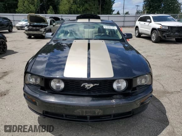 ✅ 2009 Ford Mustang GT • VIN: 1ZVHT82H595124614 • Lot: 61690125. Listed on Copart with 60,885 mi. Free auction sales archive from the USA and detailed vehicle history report at DreamBid. Image 5.