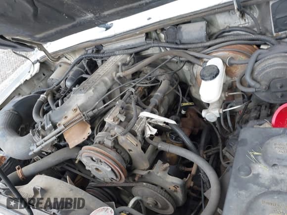 ✅ 1991 Ford Ranger • VIN: 1FTCR15T0MTA27957 • Lot: 41723354. Listed on IAAI with 29,501 mi. Free auction sales archive from the USA and detailed vehicle history report at DreamBid. Image 10.