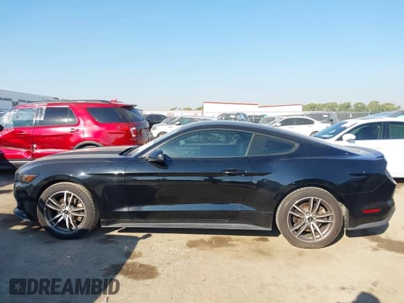 ✅ 2016 Ford Mustang EcoBoost • VIN: 1FA6P8TH7G5281531 • Lot: 43334626. Listed on IAAI with 136,026 mi. Free auction sales archive from the USA and detailed vehicle history report at DreamBid. Image 14.