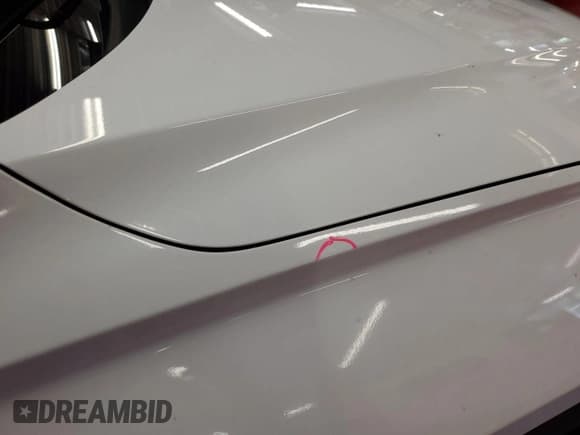 ✅ 2024 Hyundai Tucson SEL • VIN: 5NMJBCDE9RH387618 • Lot: 42752510. Wystawiony na IAAI z przebiegiem 20 347 mil. Bezpłatny archiwum sprzedaży aukcyjnych z USA i szczegółowy raport historii pojazdu na DreamBid. Zdjęcie 1.