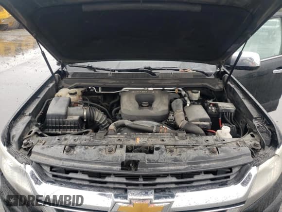 ✅ 2017 Chevrolet Colorado 4WD LT • VIN: 1GCPTCE18H1200350 • Lot: 80298505. Listed on Copart with 158,773 mi. Free auction sales archive from the USA and detailed vehicle history report at DreamBid. Image 11.