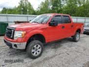 ✅ 2013 Ford F-150 XL • VIN: 1FTFW1EF7DKF74536 • Lot: 56535455. Listed on Copart with 203,240 mi. Free auction sales archive from the USA and detailed vehicle history report at DreamBid. Image 1.