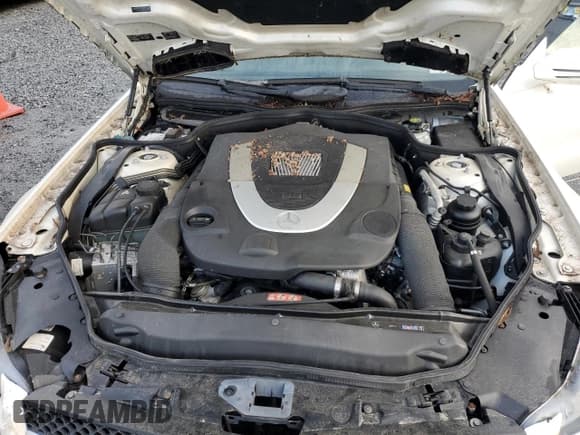 ✅ 2009 Mercedes-Benz SL 550 • VIN: WDBSK71F39F154158 • Лот: 90517755. Опубликован ранее на Copart с пробегом Не указан. Бесплатный доступ к архиву аукционных продаж из США и подробный отчёт об истории автомобиля на DreamBid. Изображение 11.