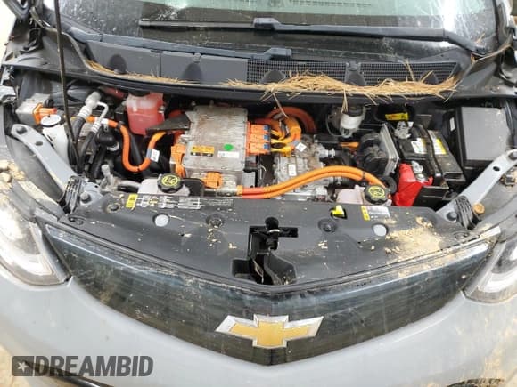 ✅ 2019 Chevrolet Bolt EV LT • VIN: 1G1FY6S09K4107801 • Lot: 82095344. Listed on Copart with 29,542 mi. Free auction sales archive from the USA and detailed vehicle history report at DreamBid. Image 11.