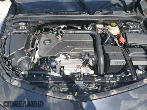 2018 Chevrolet Malibu LS z VIN 1G1ZB5ST4JF257725, wystawiony jako Copart lot #70120625 z przebiegiem Nie podano mil oraz Szkoda całkowita • Salvage title. Historia ofert i sprzedaży dostępna na DreamBid. Obrazek 11.