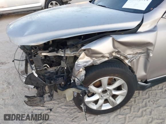 ✅ 2010 Infiniti EX Journey • VIN: JN1AJ0HP2AM703177 • Lot: 41892114. Wystawiony na IAAI z przebiegiem 156 997 mil. Bezpłatny archiwum sprzedaży aukcyjnych z USA i szczegółowy raport historii pojazdu na DreamBid. Zdjęcie 14.